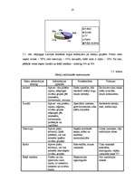 Referāts 'Reklāmas nozīme mārketingā', 19.