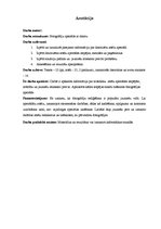 Referāts 'Fotogrāfiju/attēlu apstrāde ar datoru', 2.