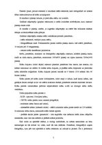 Referāts 'Fotogrāfiju/attēlu apstrāde ar datoru', 7.