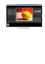 Referāts 'Fotogrāfiju/attēlu apstrāde ar datoru', 28.