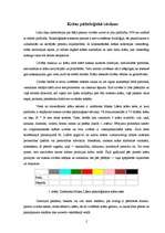 Referāts 'Krāsas vadības psiholoģijā. Krāsa reklāmā', 2.