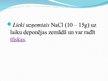 Prezentācija 'Nātrijs', 7.
