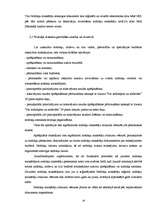 Prakses atskaite 'Prakses atskaite VID', 18.