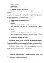 Prakses atskaite 'Prakses atskaite VID', 20.