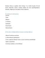 Referāts 'Investīcijas', 13.