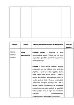 Prakses atskaite 'Prakse bērnu slimnīcā. Prakses dienasgrāmata', 11.