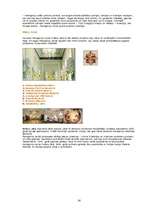 Referāts 'Melngalvju nams', 14.