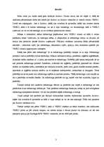 Referāts 'VESKO veikalu panākumi - veiksmīgs mārketings', 3.