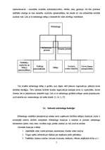 Referāts 'VESKO veikalu panākumi - veiksmīgs mārketings', 7.