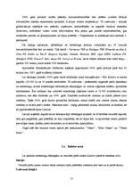 Referāts 'VESKO veikalu panākumi - veiksmīgs mārketings', 10.