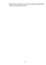 Referāts 'VESKO veikalu panākumi - veiksmīgs mārketings', 19.