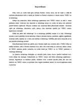 Referāts 'VESKO veikalu panākumi - veiksmīgs mārketings', 22.