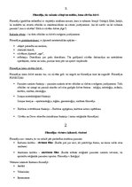 Konspekts 'Filosofijas pamatjautājumi', 1.