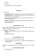 Konspekts 'Filosofijas pamatjautājumi', 2.