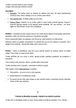 Konspekts 'Filosofijas pamatjautājumi', 4.