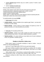 Konspekts 'Filosofijas pamatjautājumi', 5.