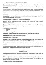 Konspekts 'Filosofijas pamatjautājumi', 13.