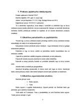 Prakses atskaite 'Prakses atskaite', 4.