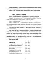 Prakses atskaite 'Prakses atskaite', 11.