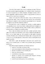 Referāts 'Iespējamā apdraudējuma noteikšana muitas darbiniekiem civilās aizsardzības jomā', 6.