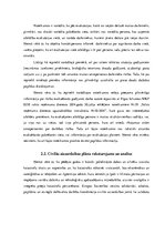 Referāts 'Iespējamā apdraudējuma noteikšana muitas darbiniekiem civilās aizsardzības jomā', 33.