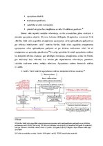 Referāts 'Iespējamā apdraudējuma noteikšana muitas darbiniekiem civilās aizsardzības jomā', 36.