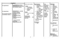 Konspekts 'Vitamīni, vitamīnu preparāti, indikācijas, blaknes', 6.