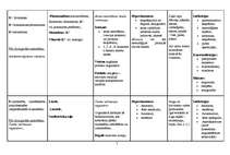 Konspekts 'Vitamīni, vitamīnu preparāti, indikācijas, blaknes', 7.