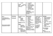 Konspekts 'Vitamīni, vitamīnu preparāti, indikācijas, blaknes', 11.