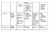Konspekts 'Vitamīni, vitamīnu preparāti, indikācijas, blaknes', 12.