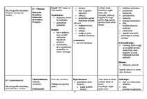 Konspekts 'Vitamīni, vitamīnu preparāti, indikācijas, blaknes', 13.