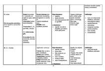 Konspekts 'Vitamīni, vitamīnu preparāti, indikācijas, blaknes', 18.