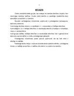 Referāts 'Darba grupas sociālpsiholoģiskais raksturojums', 3.