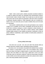Referāts 'Jurista profesija', 4.