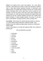 Referāts 'Jurista profesija', 6.