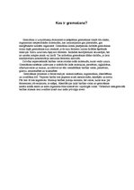 Konspekts 'Gremošanas sistēma', 2.