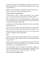 Konspekts 'Aspazijas lugas “Sidraba šķidrauts” analīze', 14.