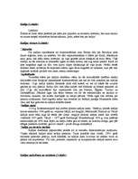 Konspekts 'Kafija', 1.