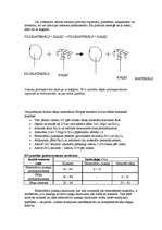 Konspekts 'Betons', 34.