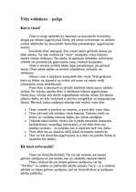 Konspekts 'Tēzes, to veidošana, jēga un paraugi', 1.