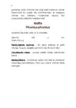 Konspekts 'Zivis', 9.