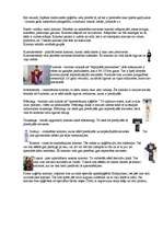 Referāts 'Japāna', 9.