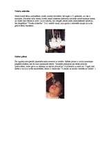 Referāts 'Japāna', 13.