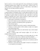 Konspekts 'Uzņēmuma "X" degvielas uzpildes stacijas attīstības mārketinga plāns', 8.