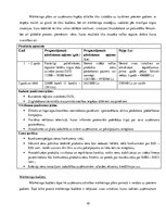 Konspekts 'Uzņēmuma "X" degvielas uzpildes stacijas attīstības mārketinga plāns', 10.