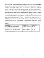 Konspekts 'Uzņēmuma "X" degvielas uzpildes stacijas attīstības mārketinga plāns', 11.