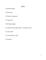 Biznesa plāns 'Biznesa idejas plāns', 2.