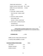 Prakses atskaite 'Florbola trenera mācību prakses pārskats', 19.