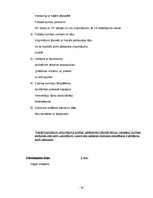 Prakses atskaite 'Florbola trenera mācību prakses pārskats', 26.