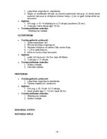 Prakses atskaite 'Florbola trenera mācību prakses pārskats', 34.